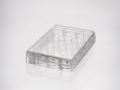 板底平整、孔径大小一致，板体均匀、透明，易于显微镜观察