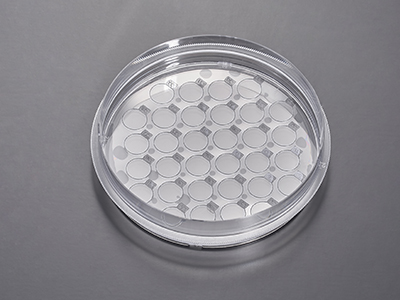 单次细胞培养可制备多种不同实验和检测目的的细胞爬片，提高工作效率