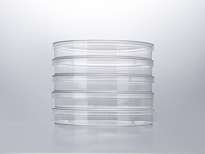 培养皿盖外边缘凸起，保证叠放稳定；