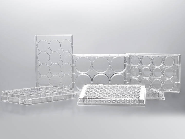 内页720×540 拷贝.jpg