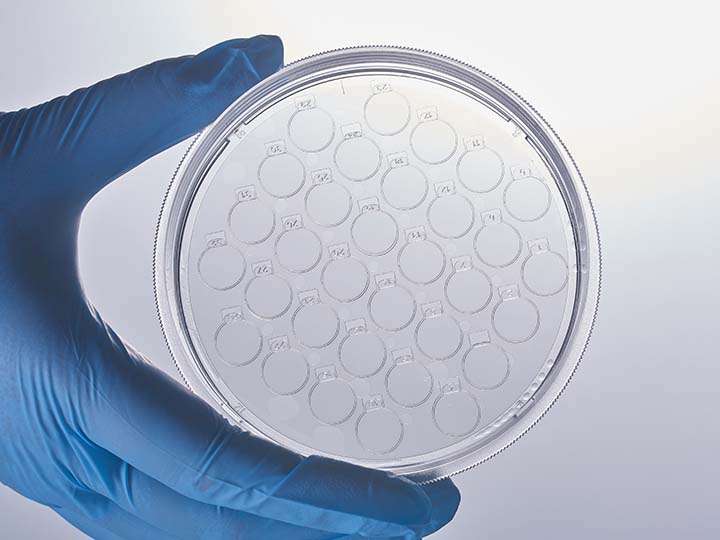 内页720×540 拷贝1.jpg