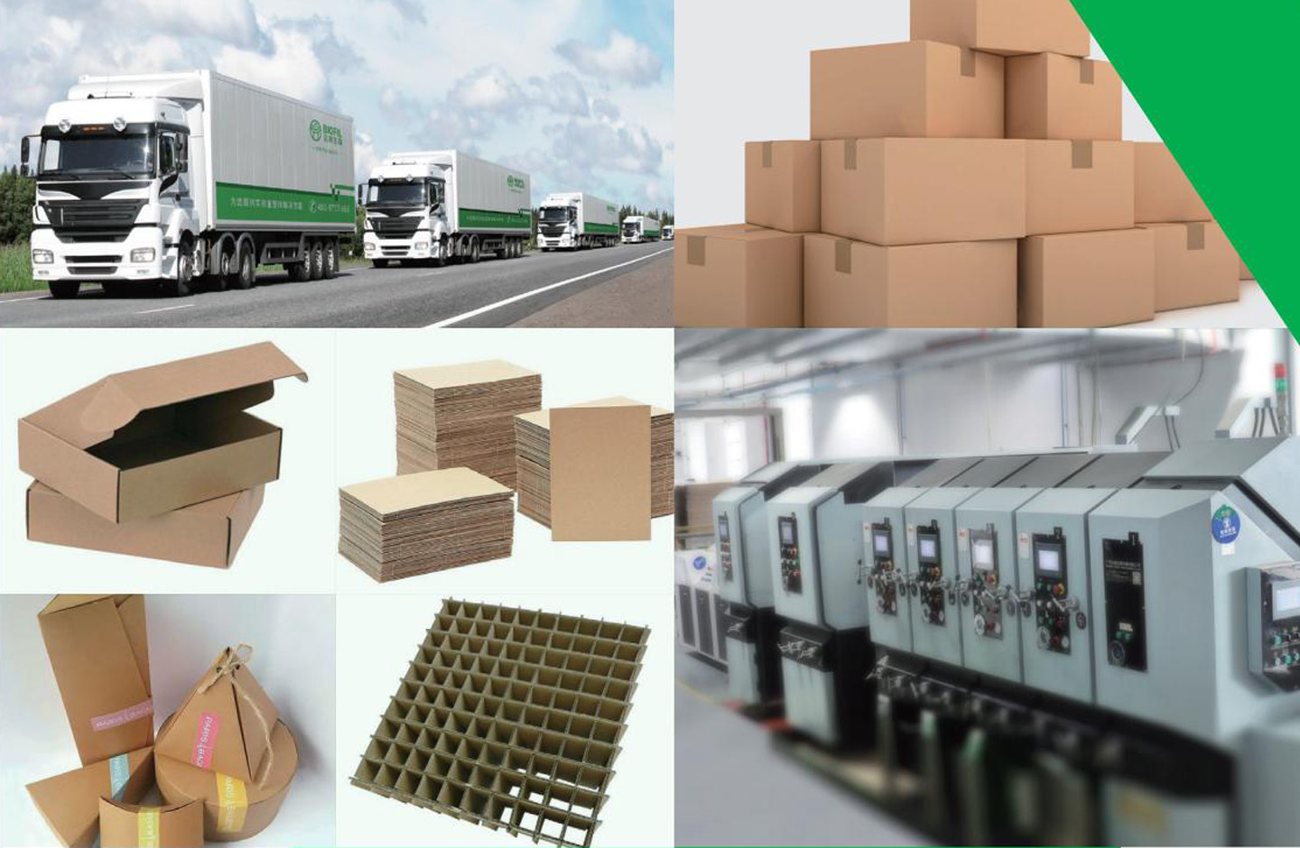 广州Bevictor韦德包装材料有限公司